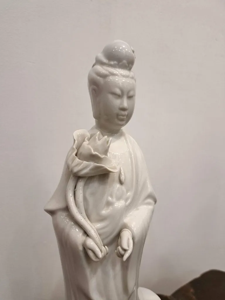 20251106_172023 (Copy).webp