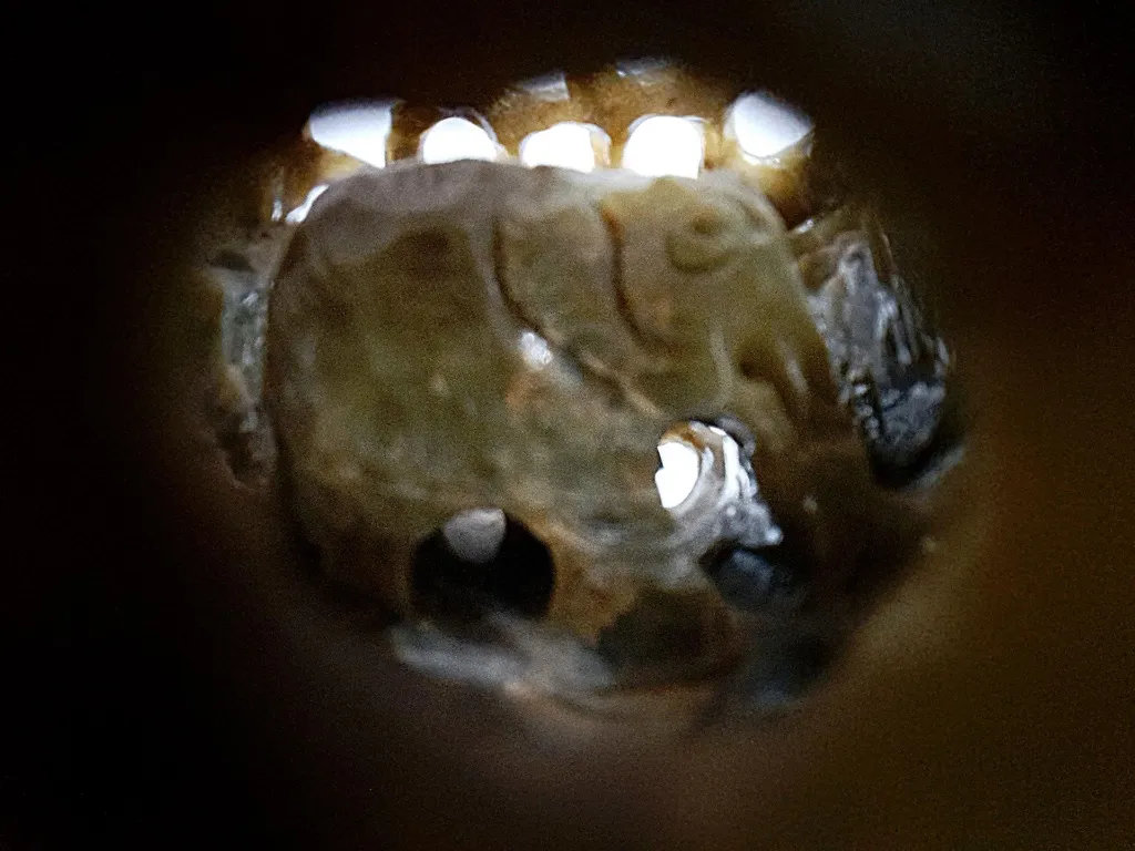 20251106_164646 (Copy).webp