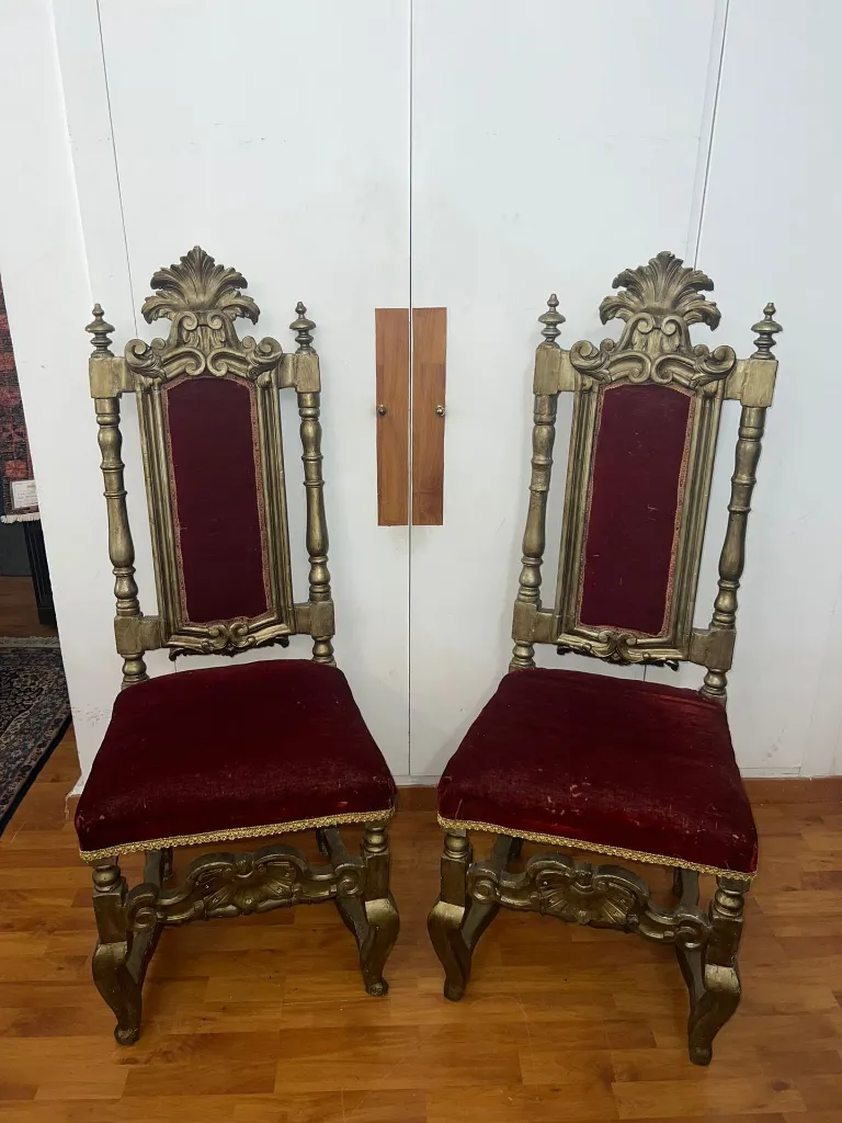 WhatsApp Image 2026-02-19 at 12.20.11.webp