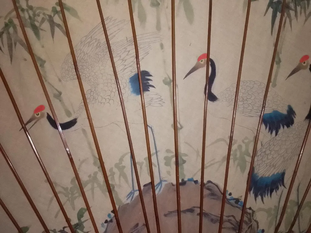 IMG_20251212_122949 (Copy).webp