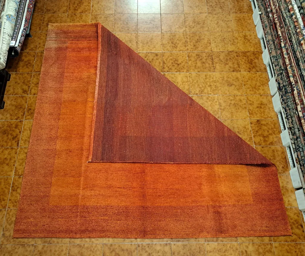 20230314_175017 (Copy).webp