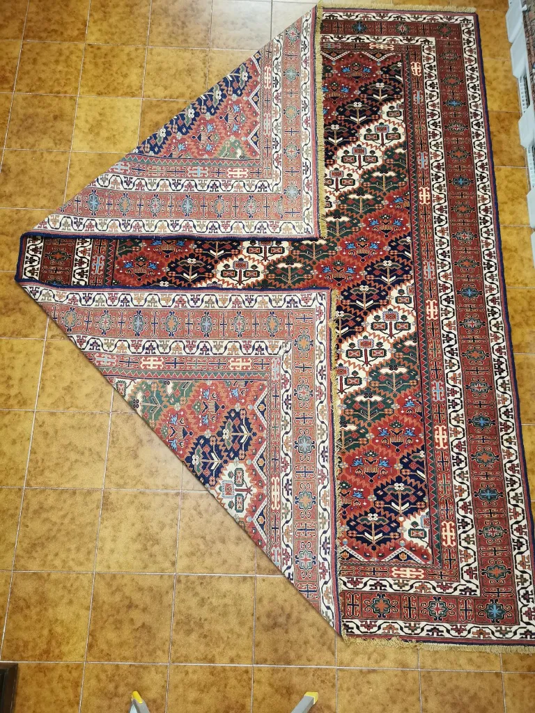 IMG_20230104_121848 (Copy).webp