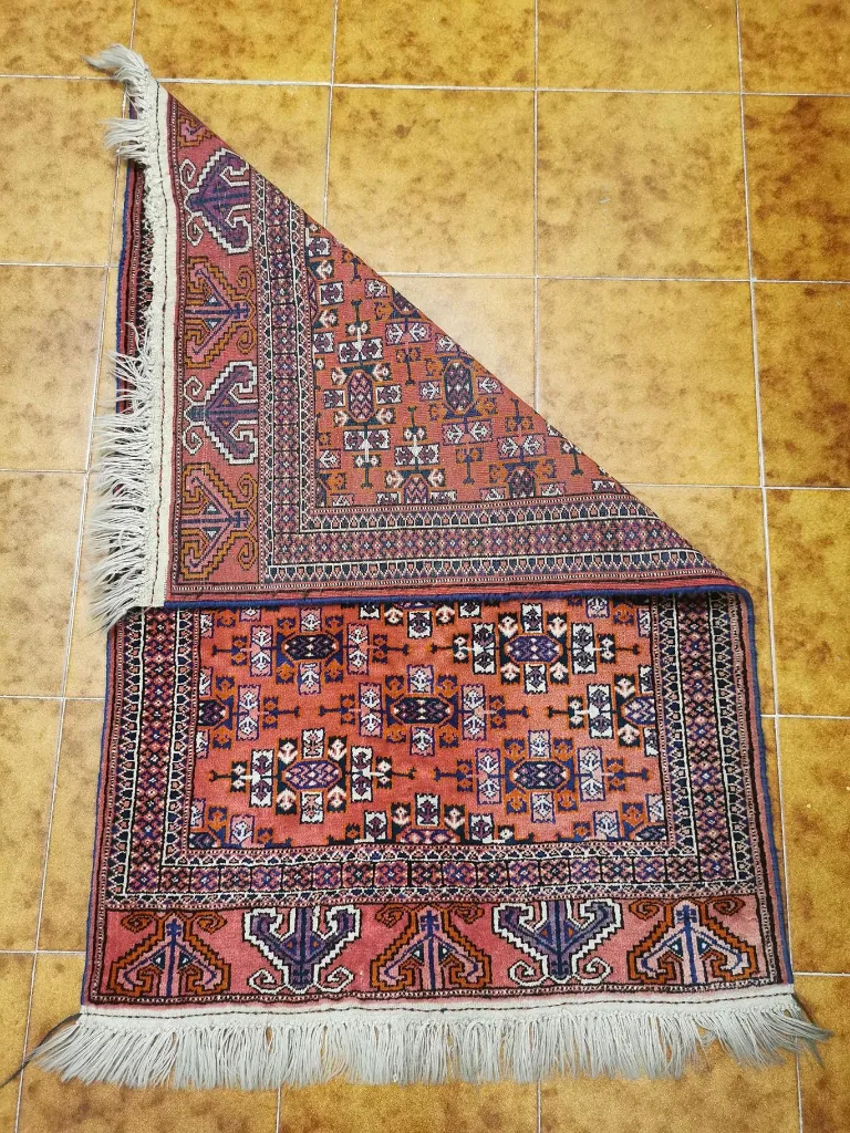 IMG_20230119_124334 (Copy).webp