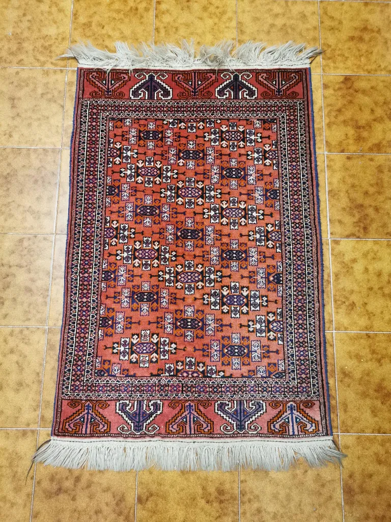 IMG_20230119_124317 (Copy).webp