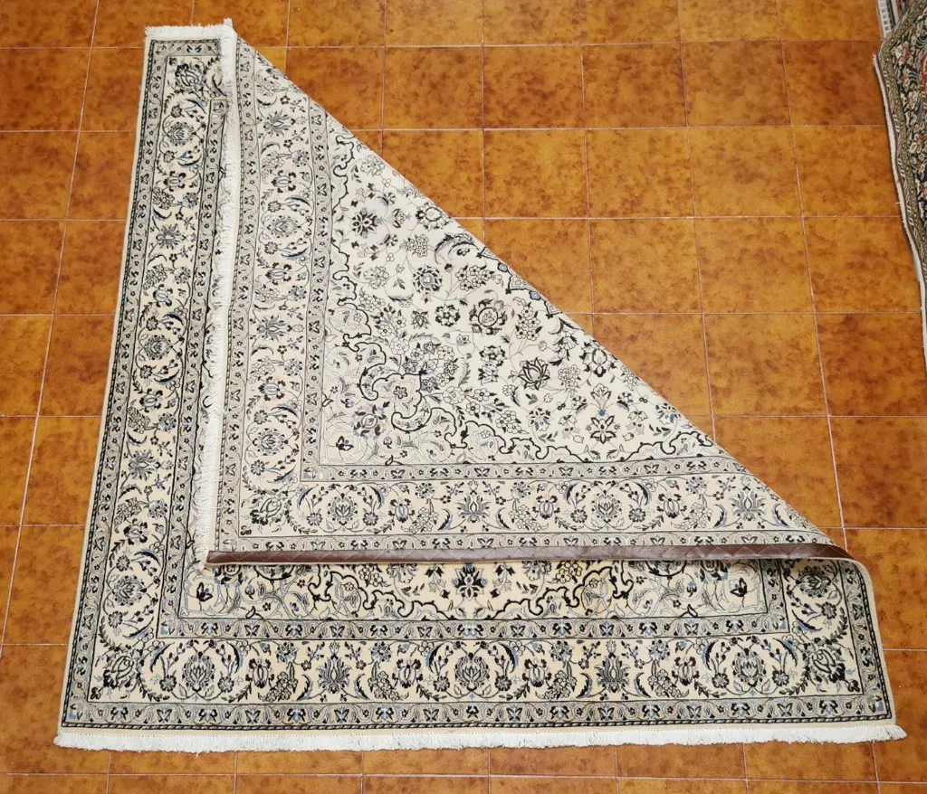 IMG_20230126_163759_edit_460246303936540 (Copy).webp