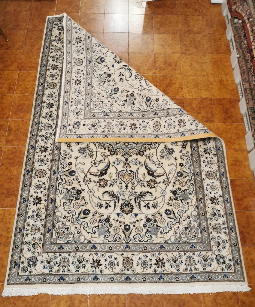 IMG_20230202_185553_edit_239480575344706 (Copy).webp