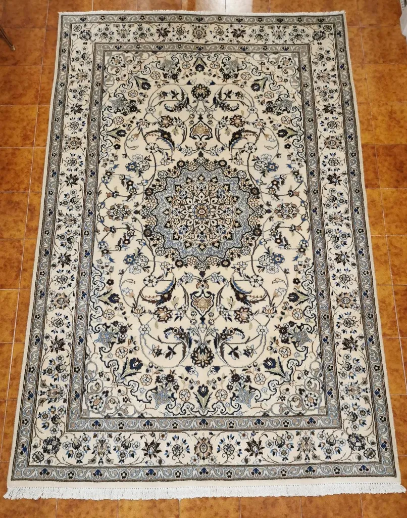 IMG_20230202_192023_edit_240307344182080 (Copy).webp