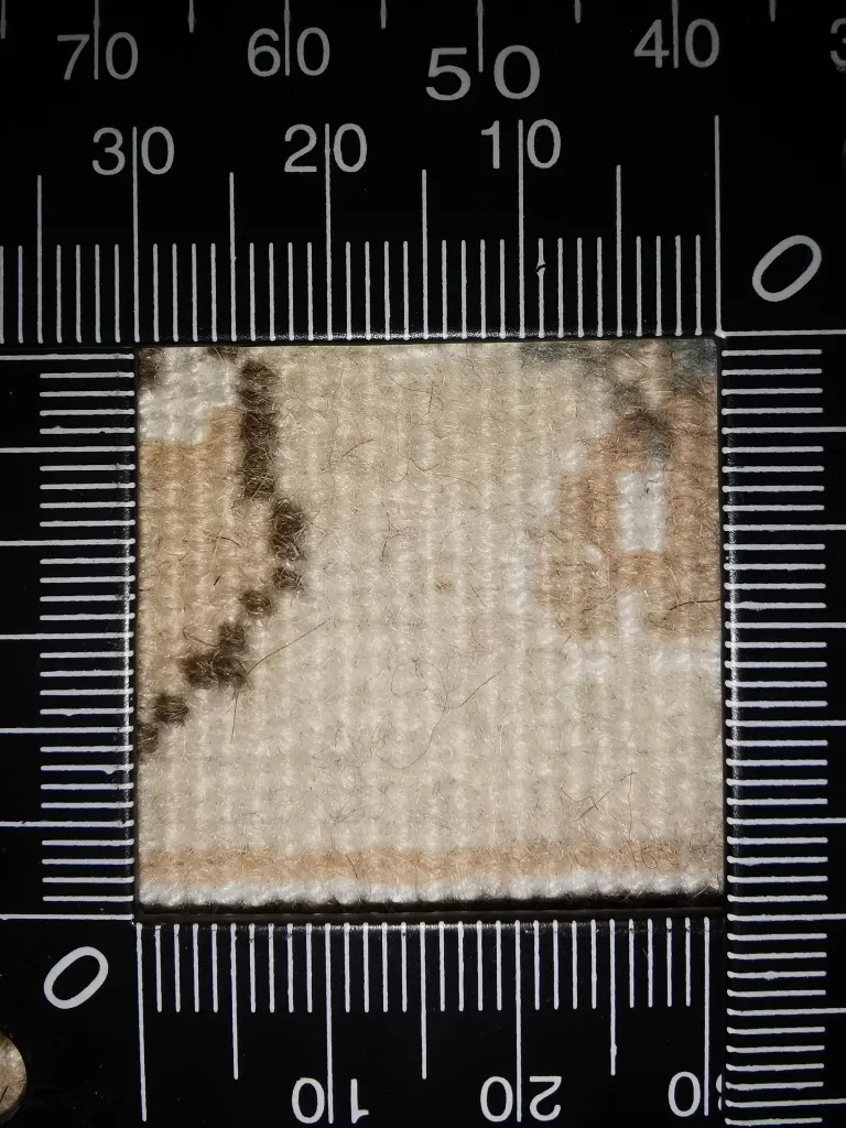 IMG_20230104_114534 (Copy).webp