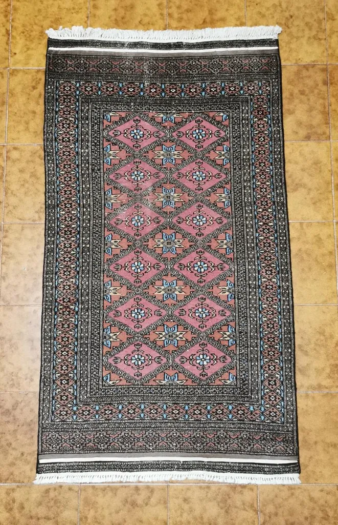 IMG_20230126_130719_edit_451252310600412 (Copy).webp