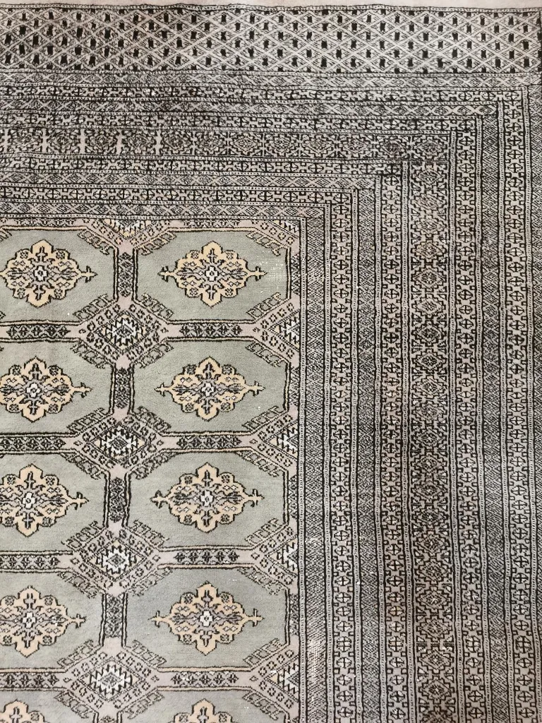 IMG_20230202_130003 (Copy).webp