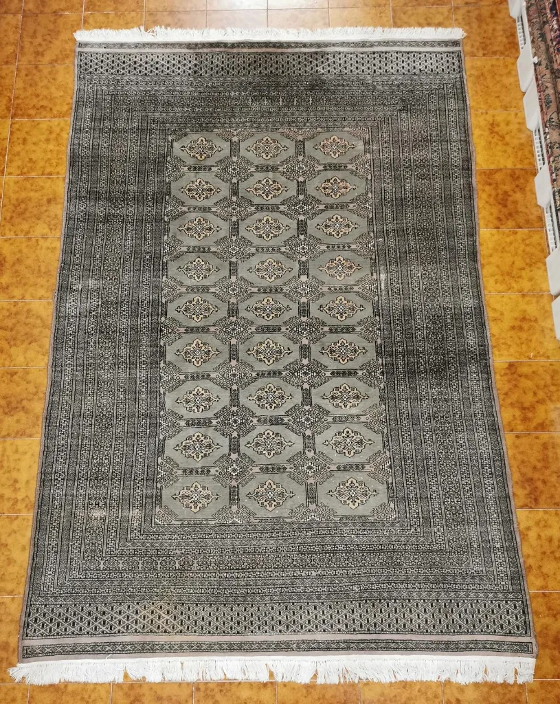 IMG_20230202_125934_edit_225187888044804 (Copy).webp