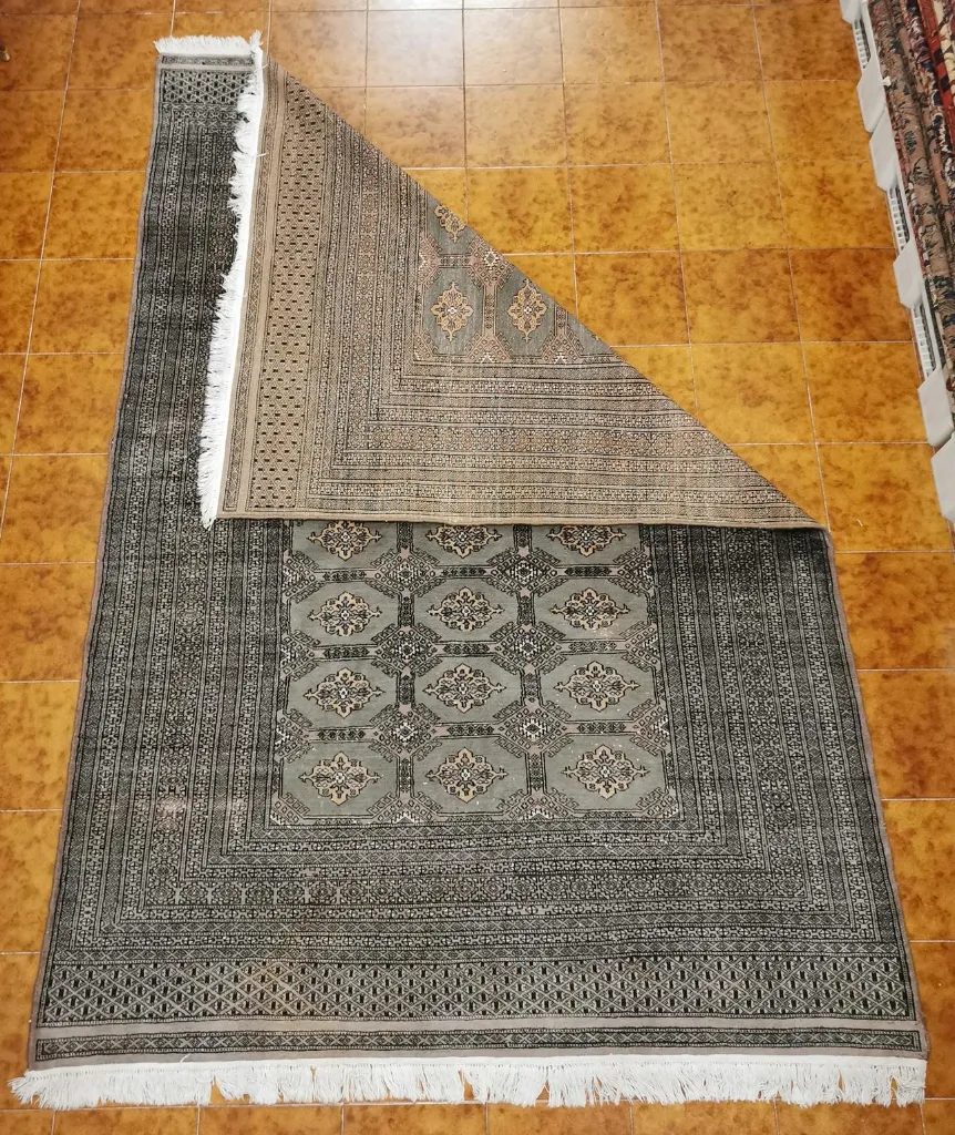 IMG_20230202_130025_edit_225232067000005 (Copy).webp