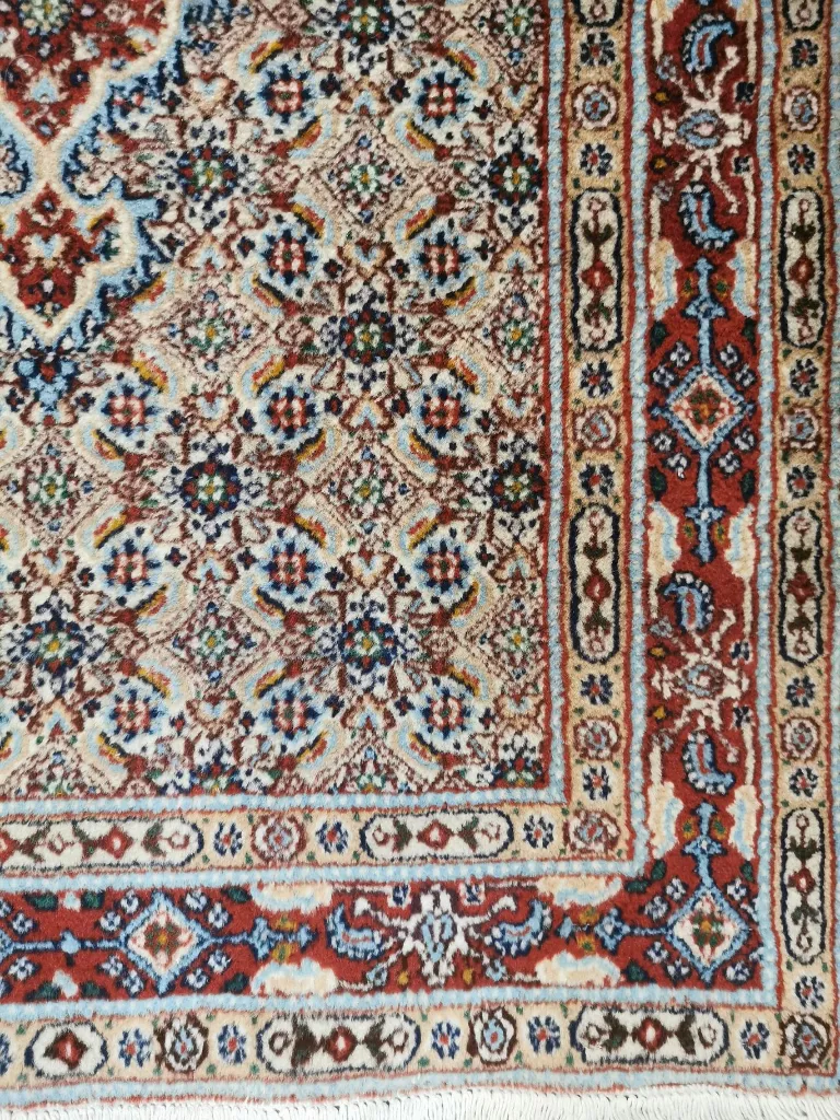 IMG_20230104_123547 (Copy).webp