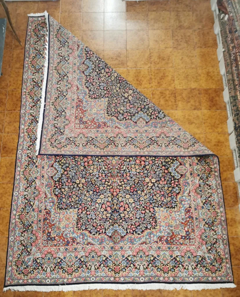 IMG_20230203_113719_edit_269654794480727 (Copy).webp