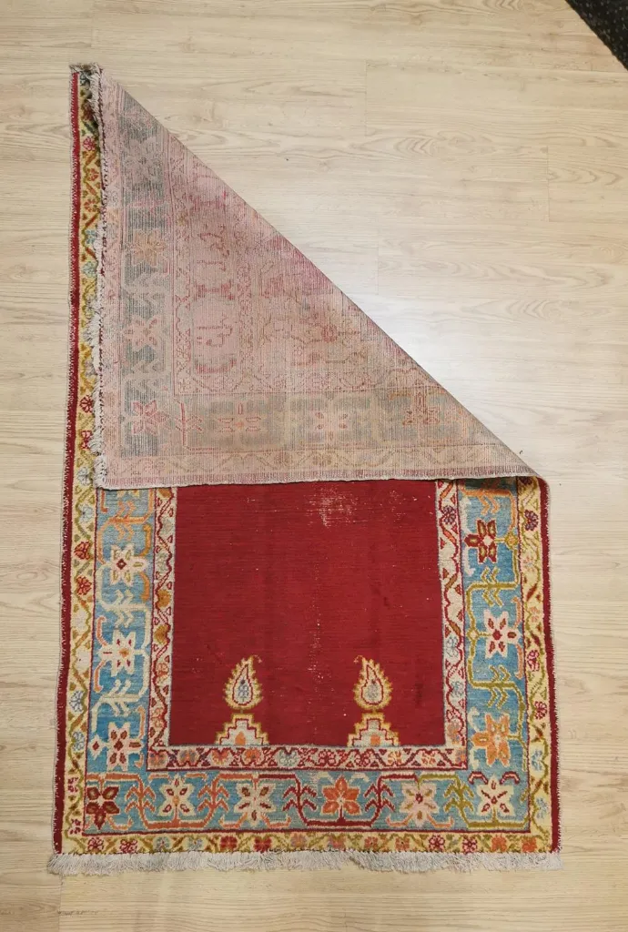 IMG_20230119_112104_edit_68019364456286 (Copy).webp