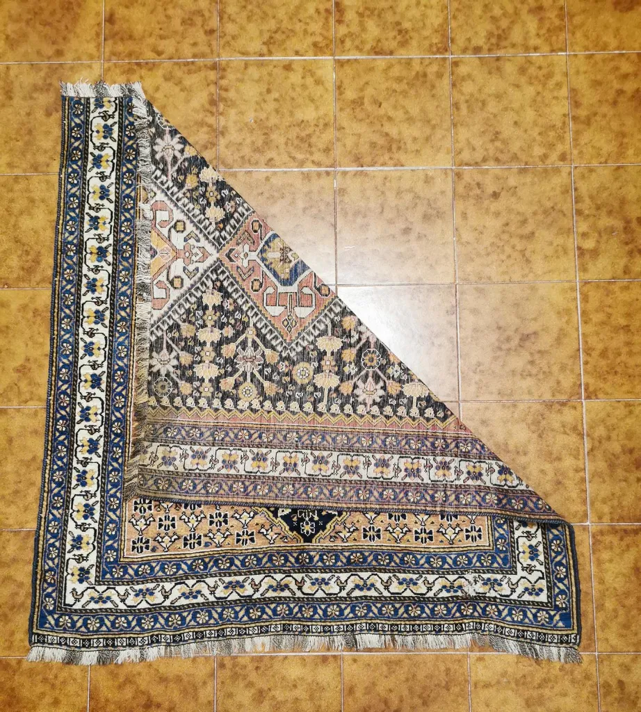 IMG_20230126_172019_edit_462440211796101 (Copy).webp