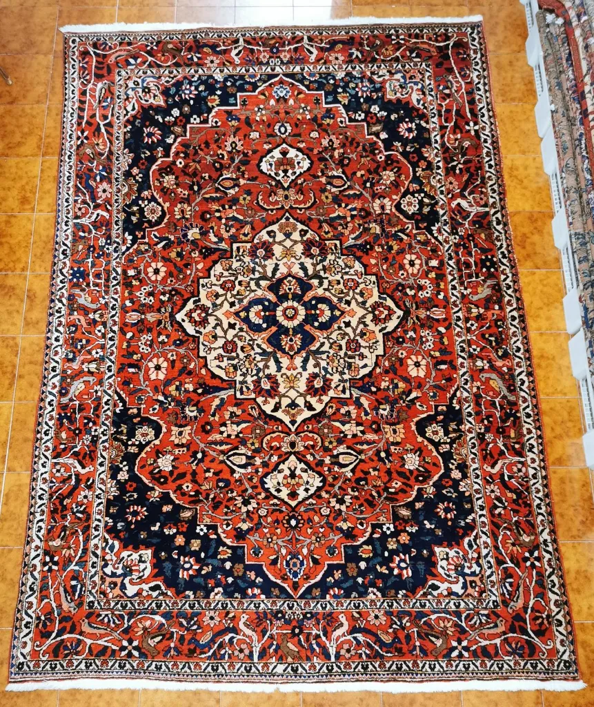 IMG_20230202_191730_edit_240206865674804 (Copy).webp