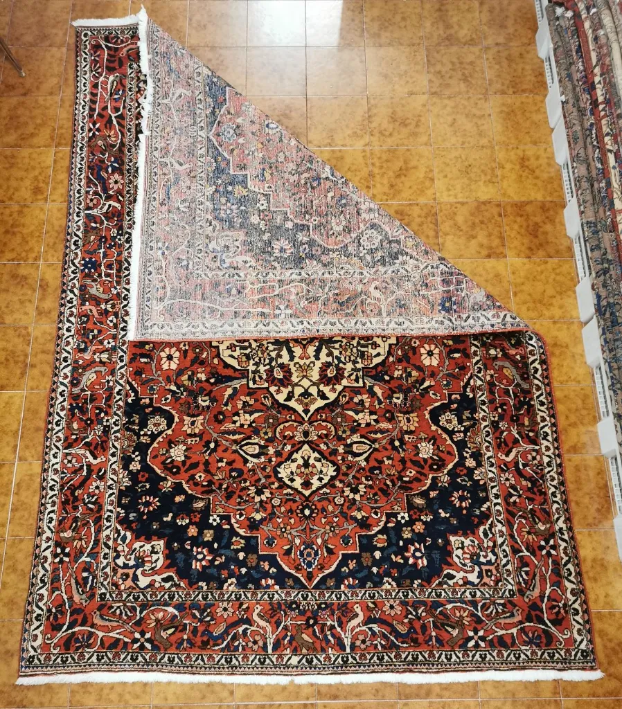 IMG_20230202_191811_edit_240246849425319 (Copy).webp