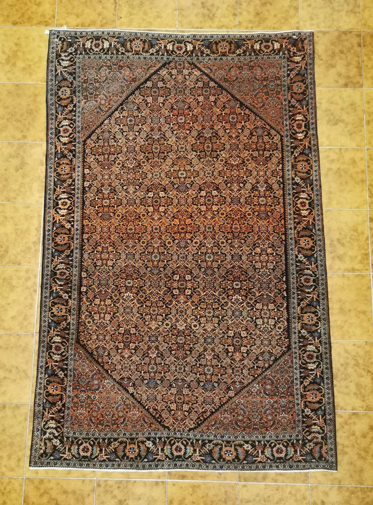 IMG_20230119_183828_edit_88932384809866 (Copy).webp