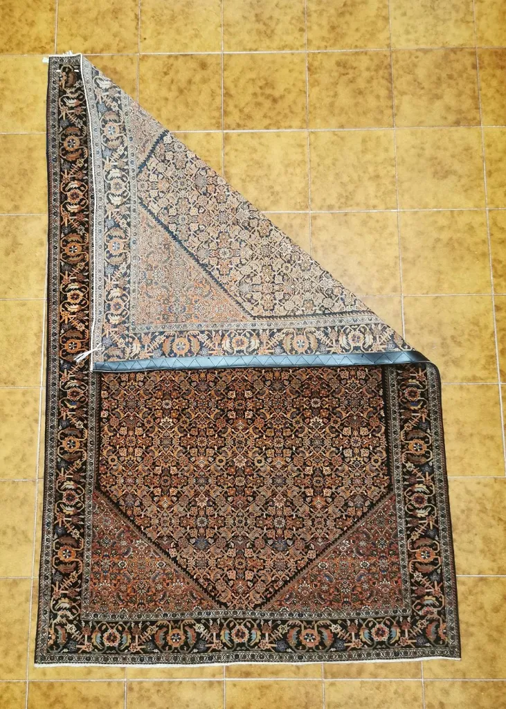 IMG_20230119_183920_edit_88986577566108 (Copy).webp