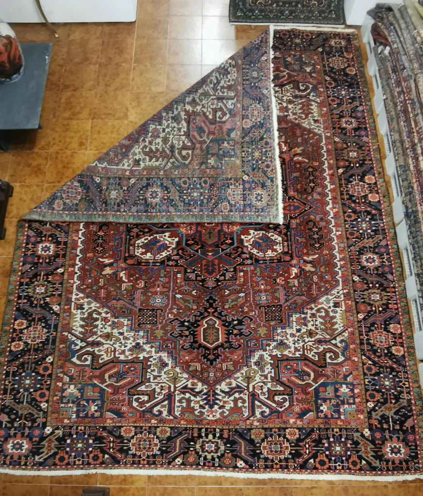 IMG_20230203_114505 (Copy).webp