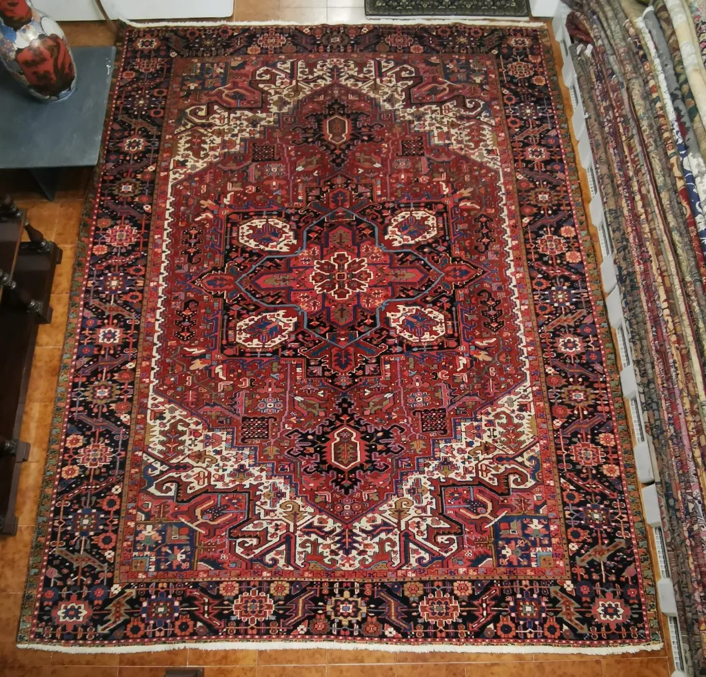 IMG_20230203_114341_edit_269870102921840 (Copy).webp