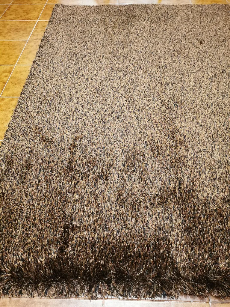 IMG_20230126_164546 (Copy).webp