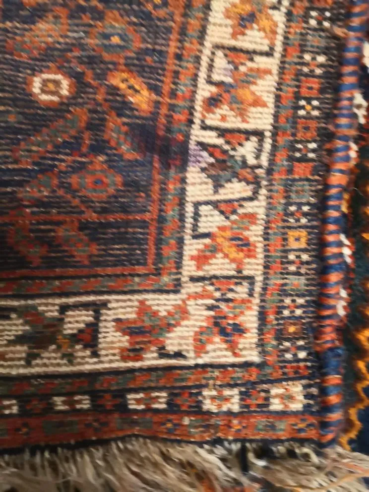 P1344 (3) (Copy).webp