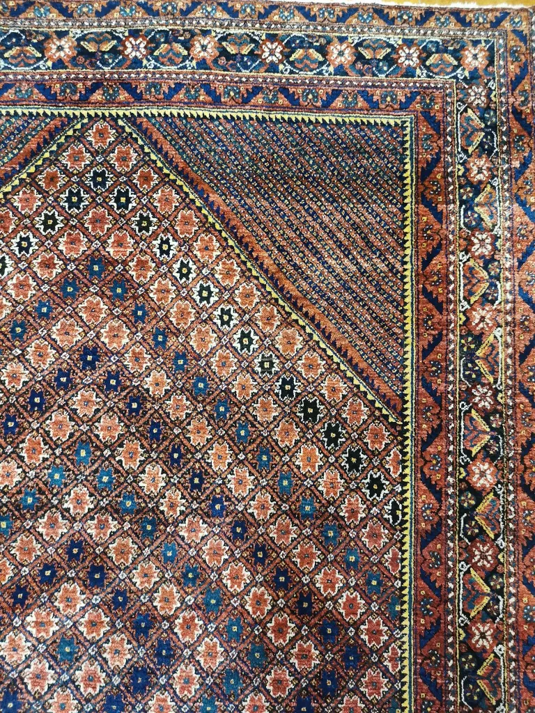 IMG_20230202_125456 (Copy).webp