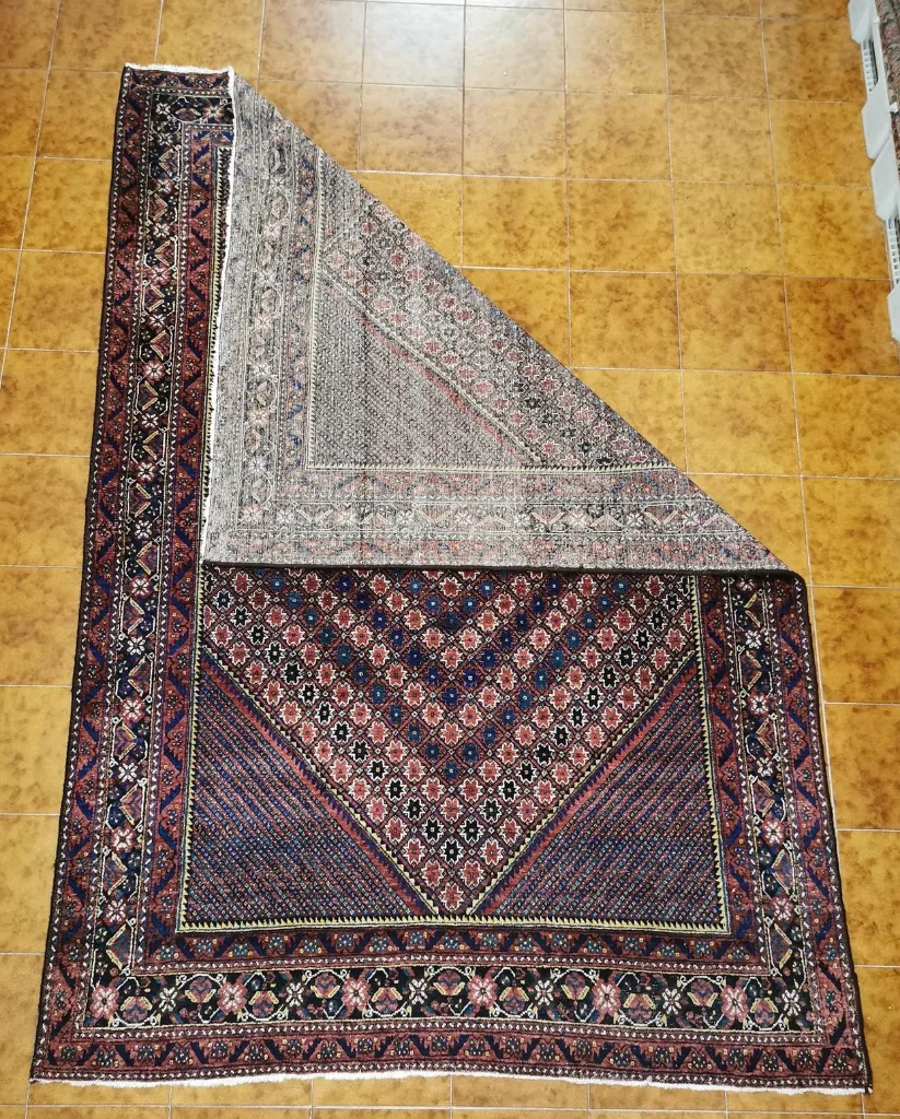 IMG_20230202_125517_edit_225082796753153 (Copy).webp