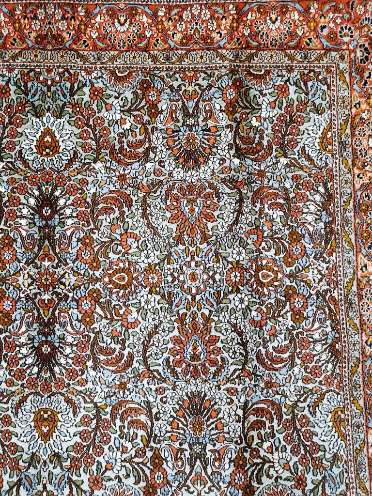 IMG_20230126_171709 (Copy).webp