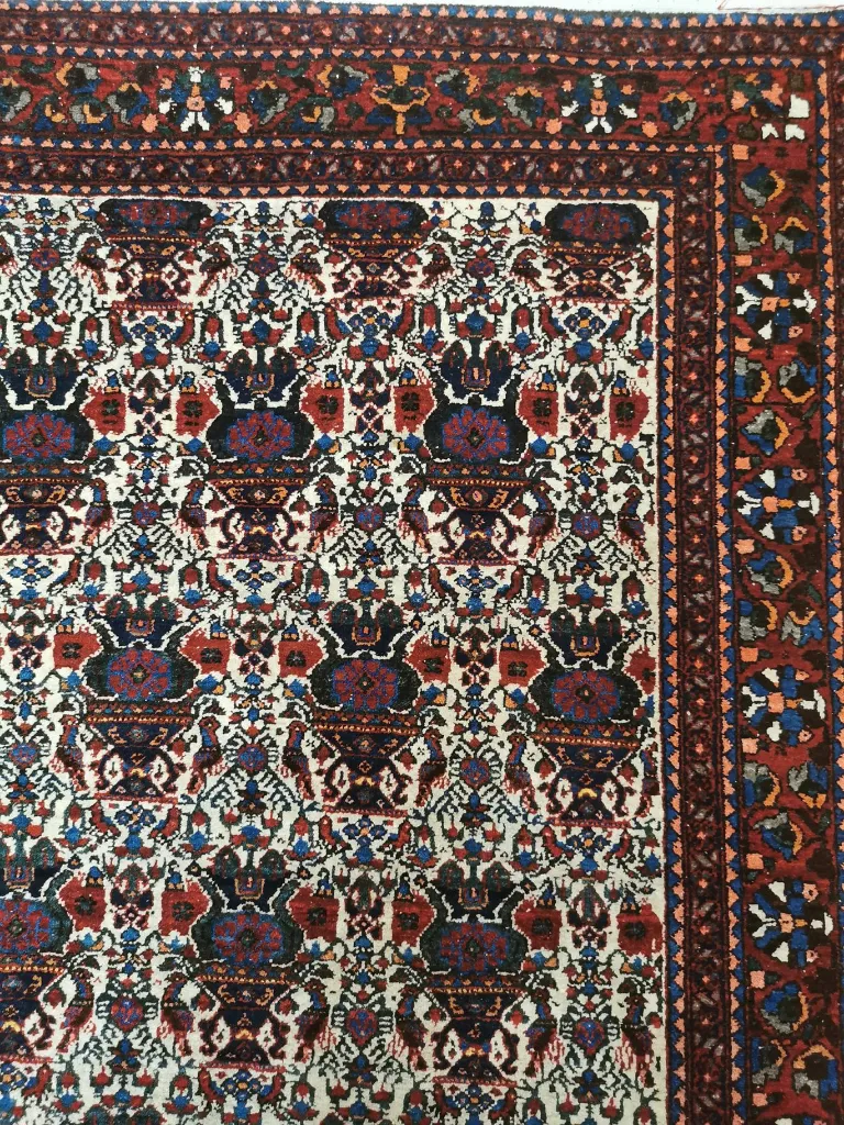 IMG_20230119_182558 (Copy).webp