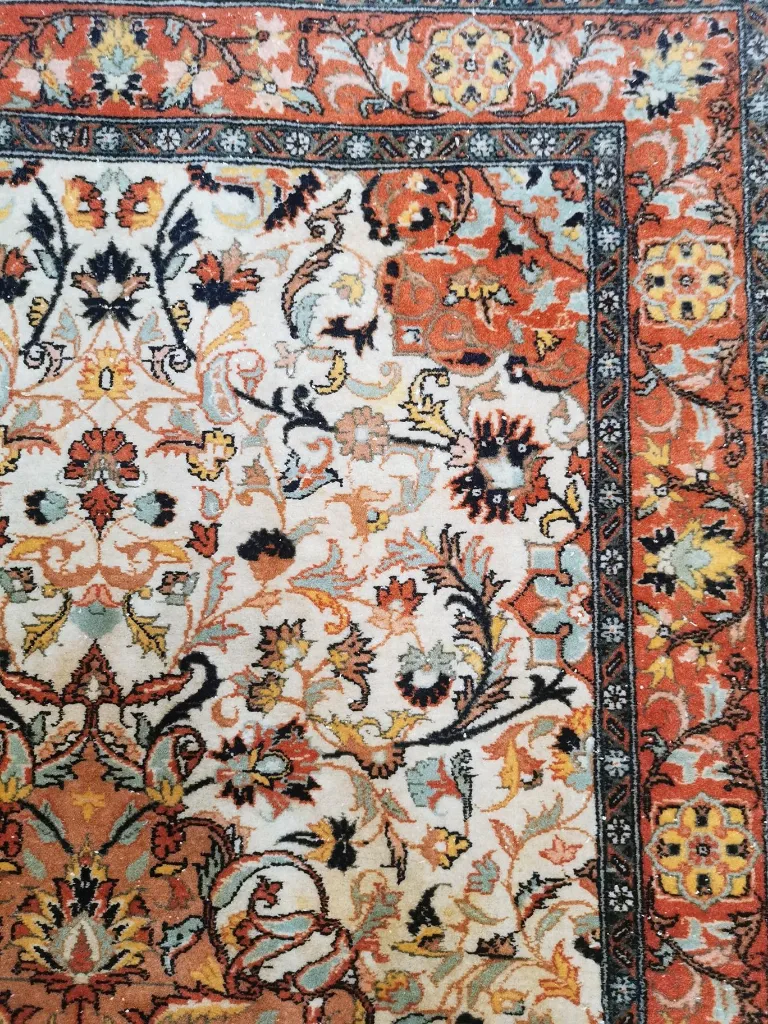 IMG_20230119_165342 (Copy).webp