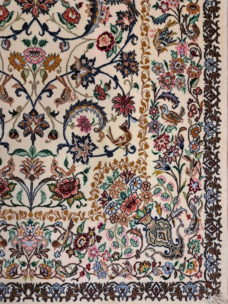 20240123_094945 (Copy).webp