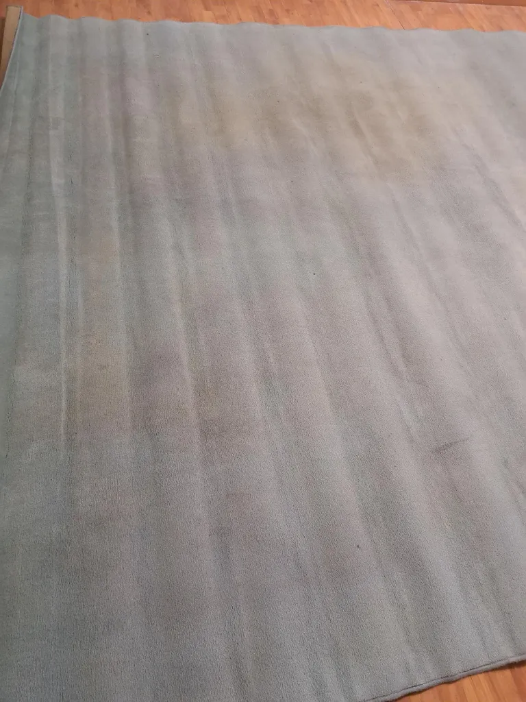 20260122_182353 (Copy).webp