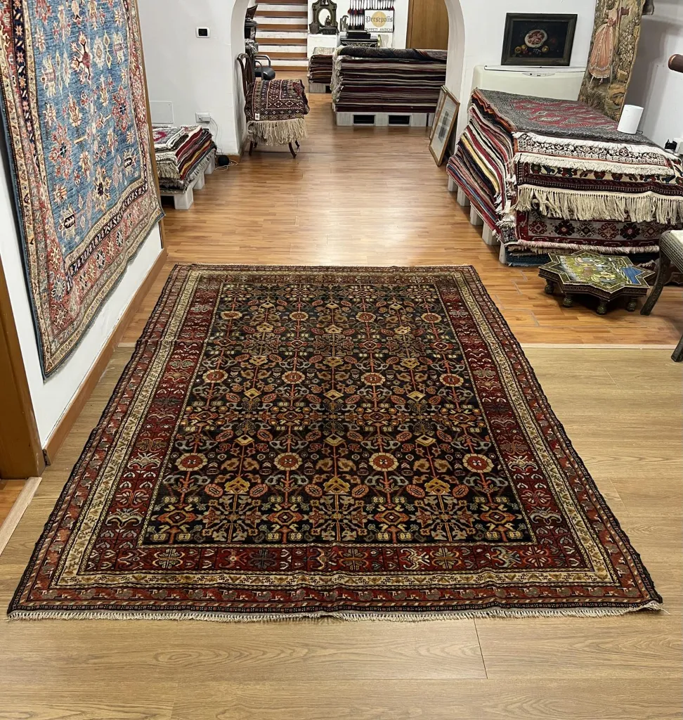 IMG_1390_ris (Copy).webp