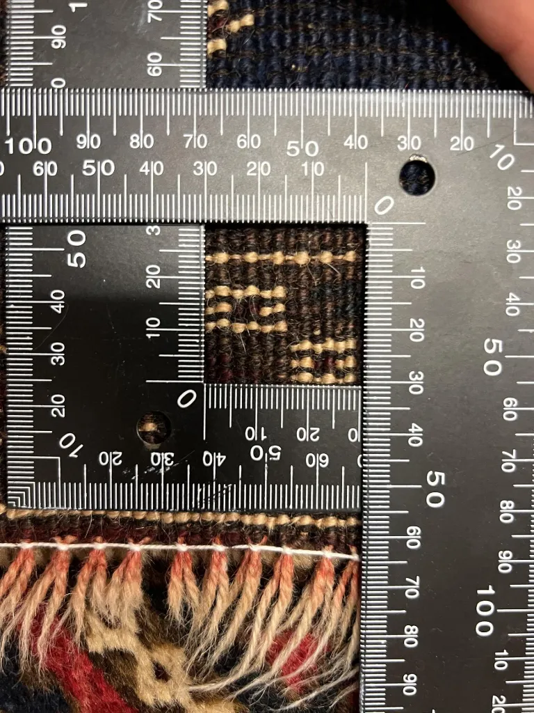 IMG_0993_ris (Copy).webp