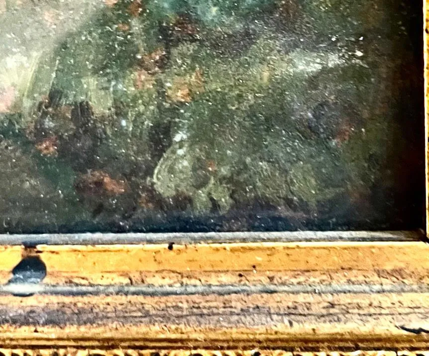 1000398019 (Copy).webp