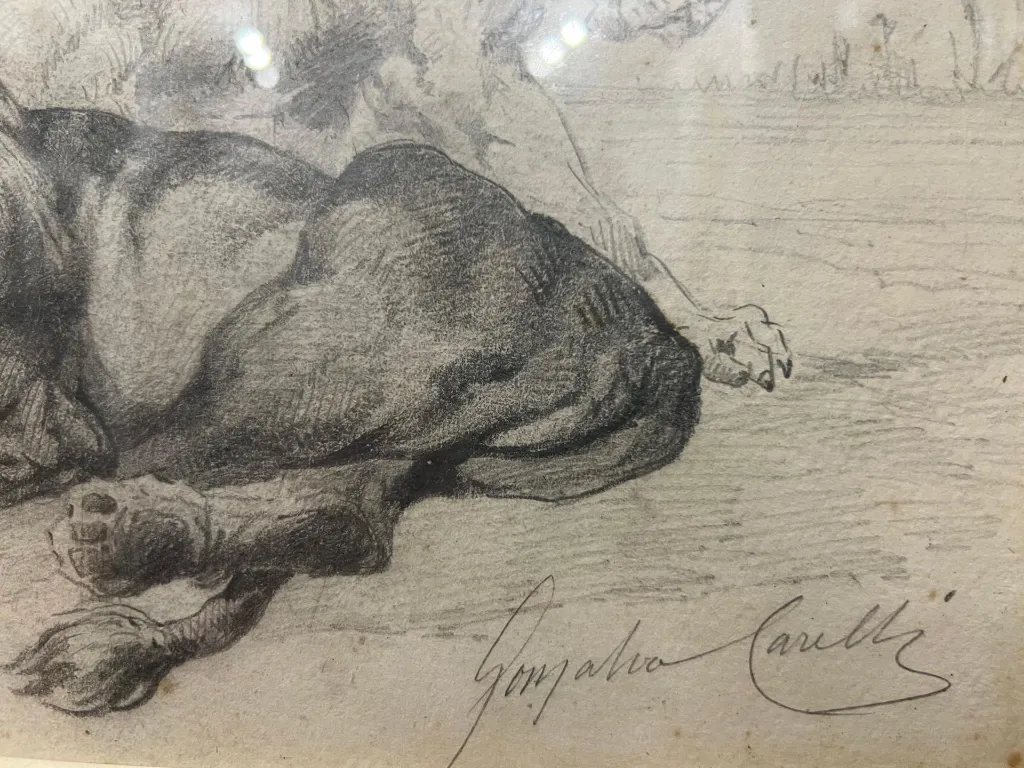 1000398084 (Copy).webp