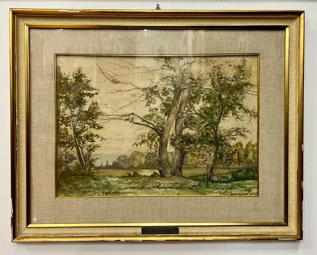 1000398237 (Copy).webp