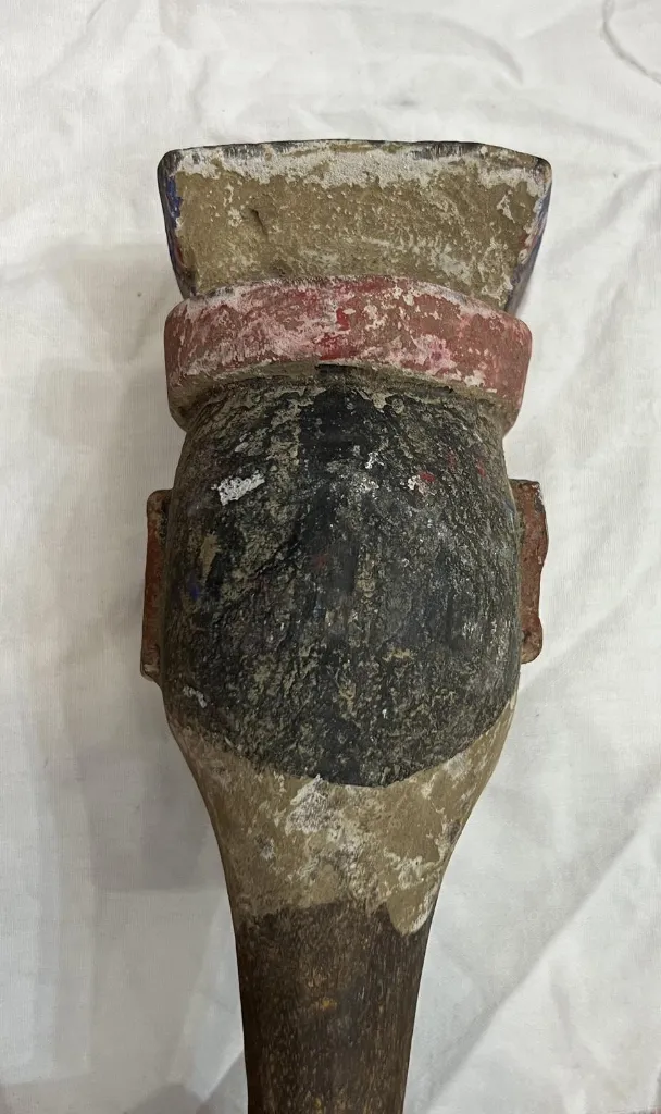 IMG_0488_risultato (Copy).webp