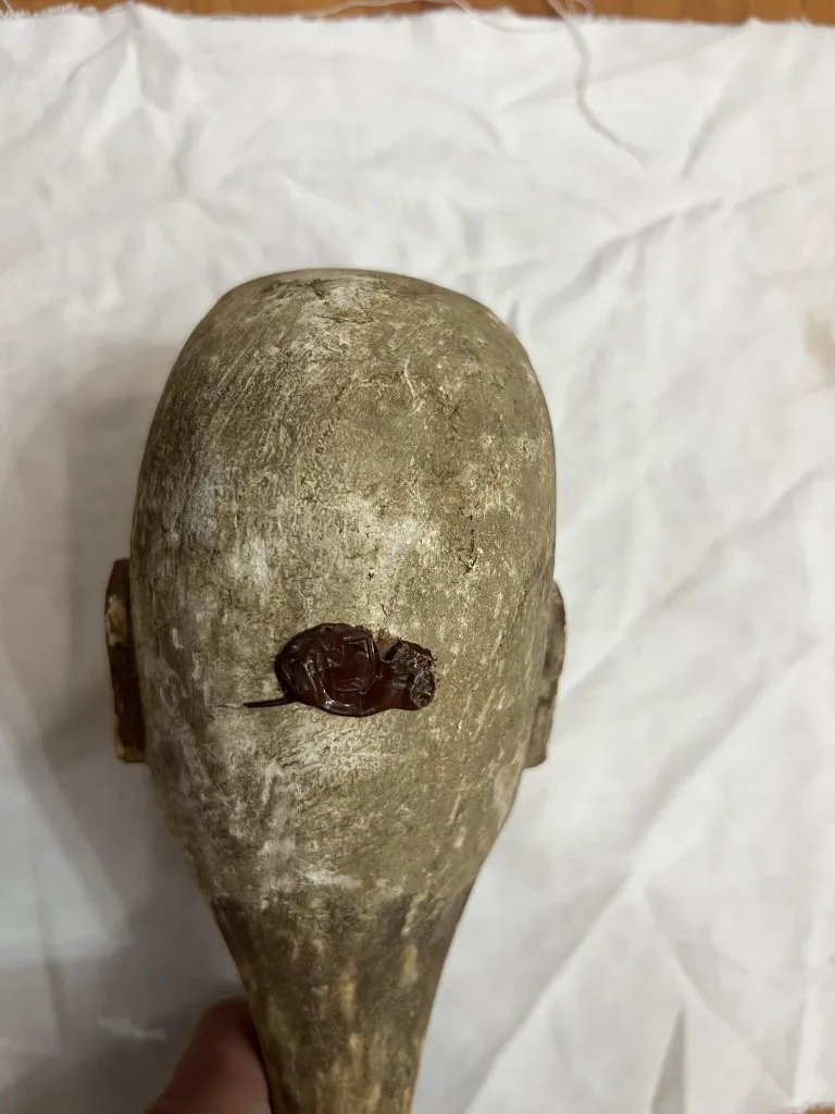 IMG_0481_risultato (Copy).webp