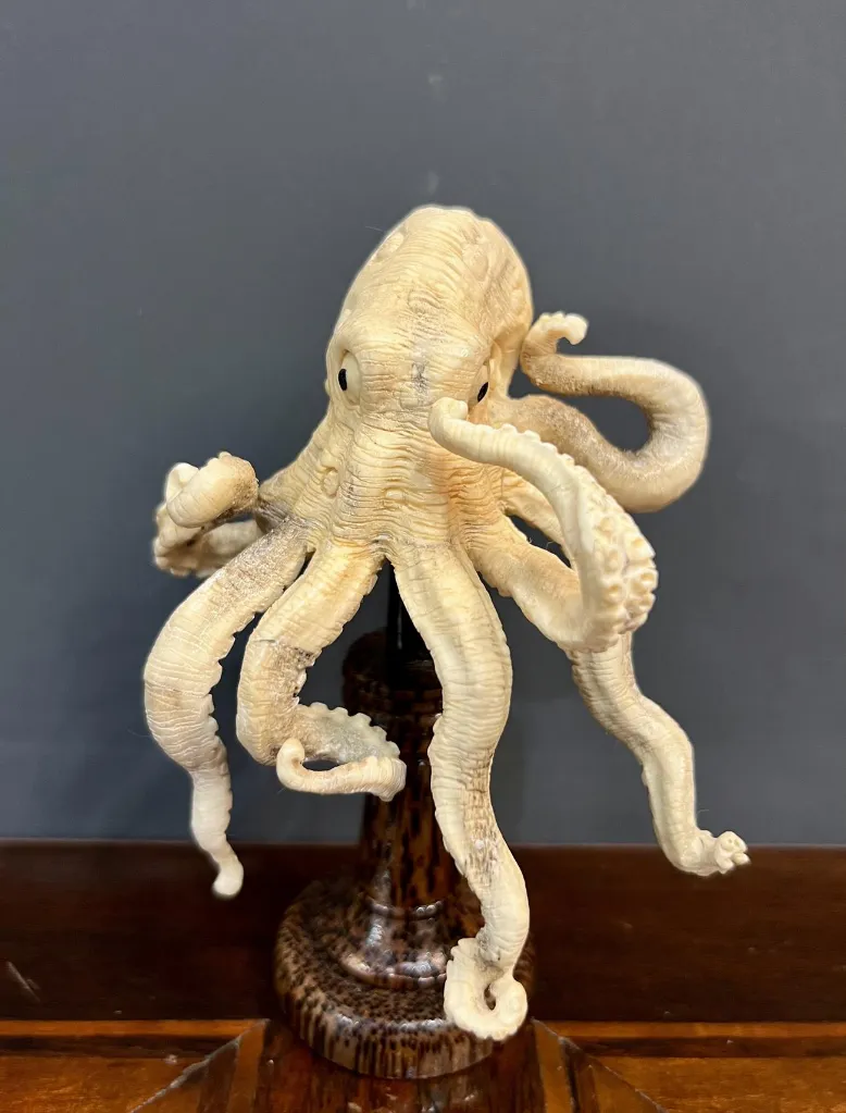 IMG_1203_ris (Copy).webp