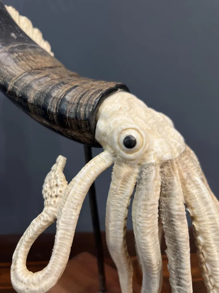 IMG_1197_ris (Copy).webp