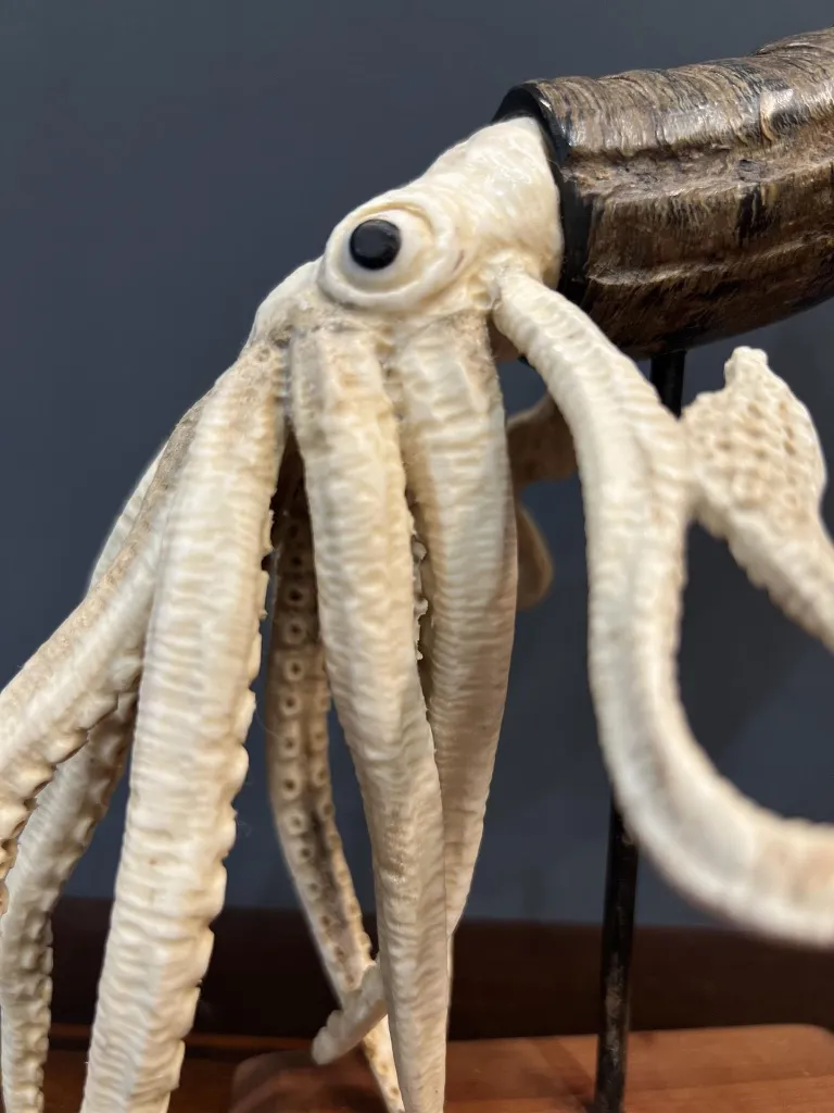 IMG_1202_ris (Copy).webp