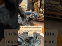 Bronzo T. Campajola - Il Galata morente