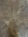 IMG_2360_ris (Copy).webp