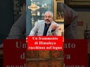 youtube - [Video]
