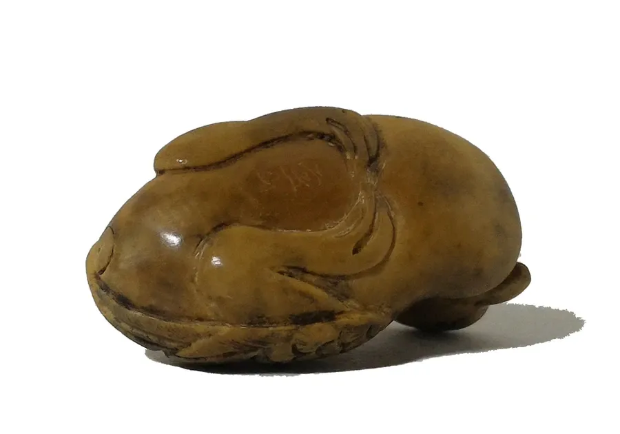 Anatra in pietra 4.webp