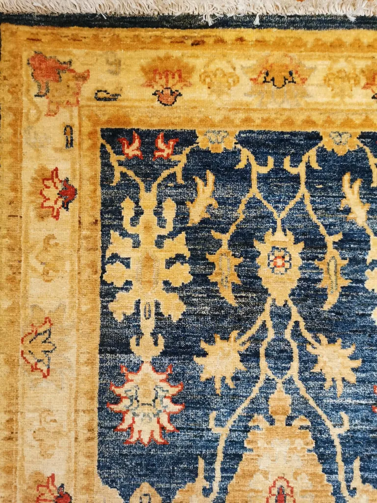 IMG_20230119_125335 (Copy).webp